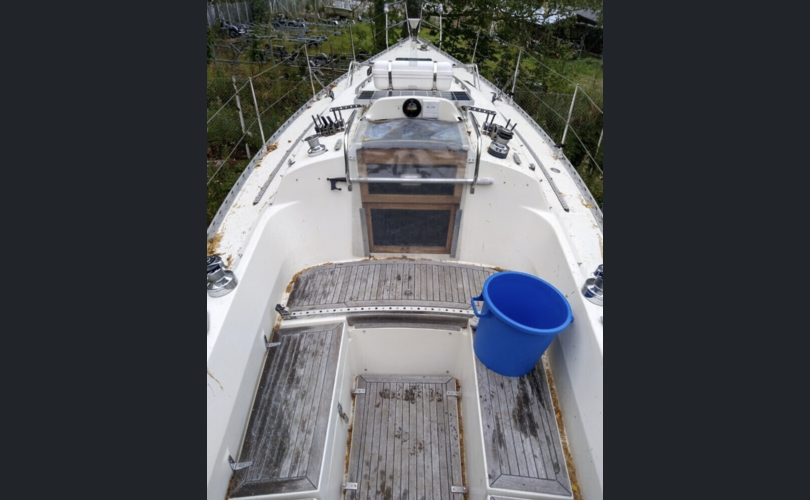 Avance 36 De Luxe-kuva-2